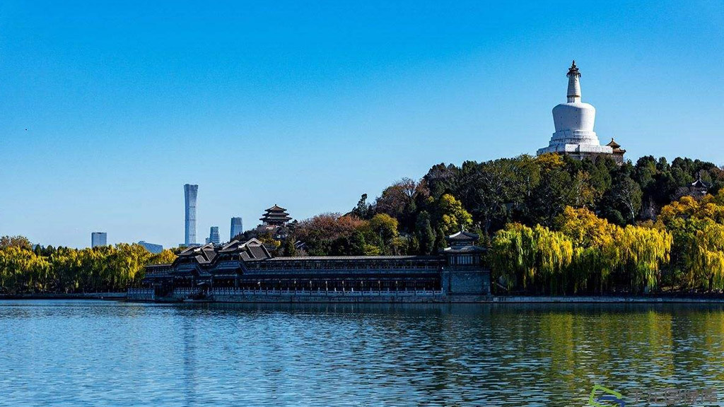 揭秘吴双竞价代运营：如何让您的广告投放更上一层楼